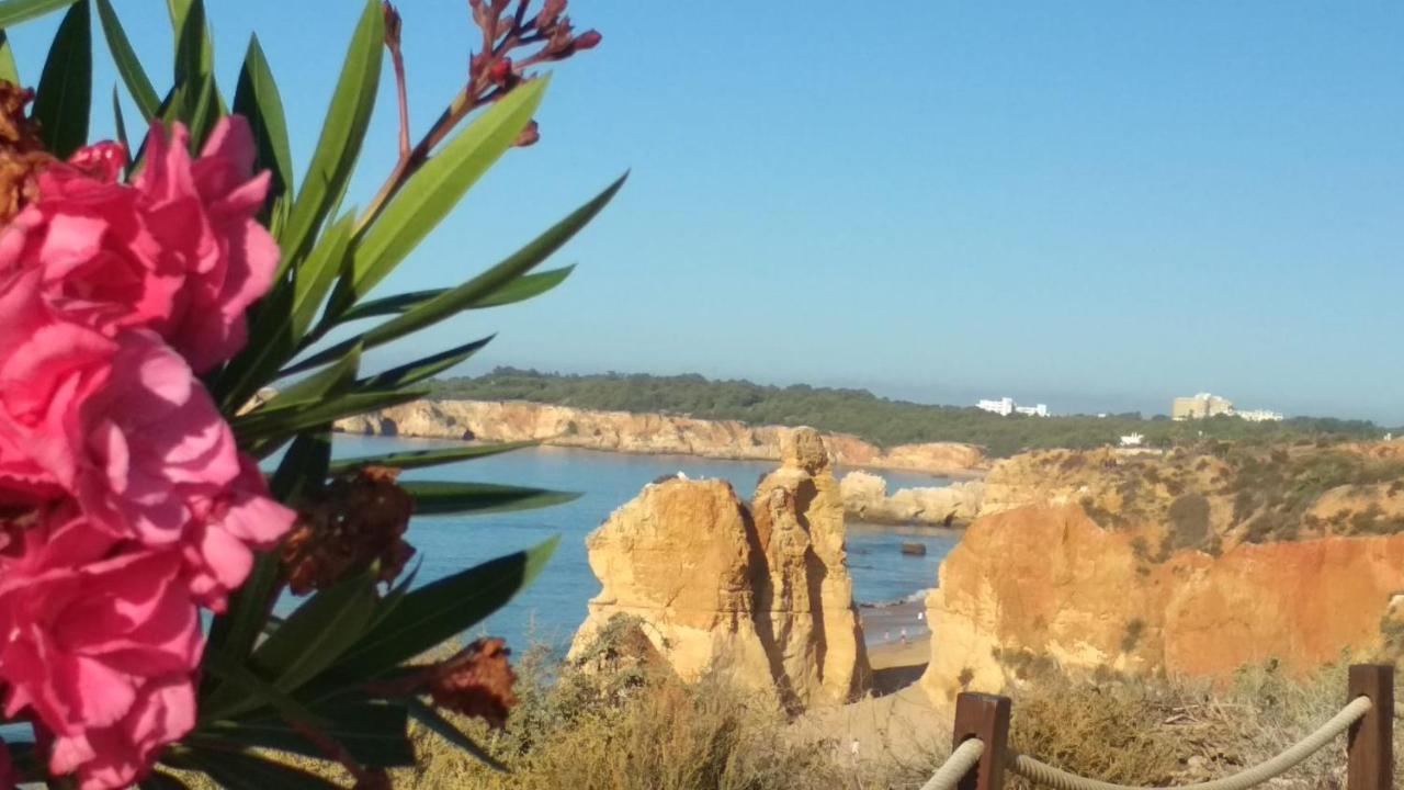 Albur Village B - Camomile Alvor Exterior foto